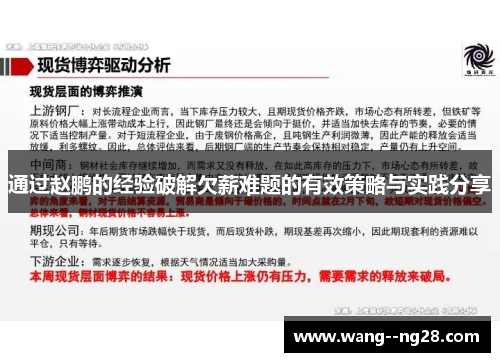 通过赵鹏的经验破解欠薪难题的有效策略与实践分享