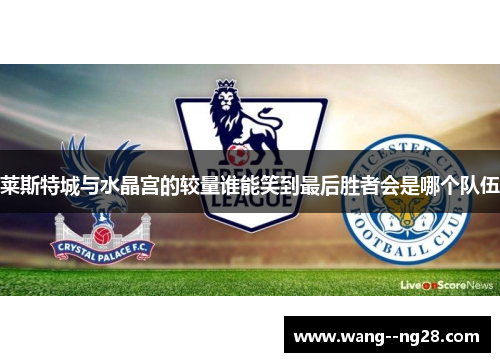 莱斯特城与水晶宫的较量谁能笑到最后胜者会是哪个队伍