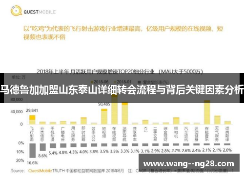 马德鲁加加盟山东泰山详细转会流程与背后关键因素分析